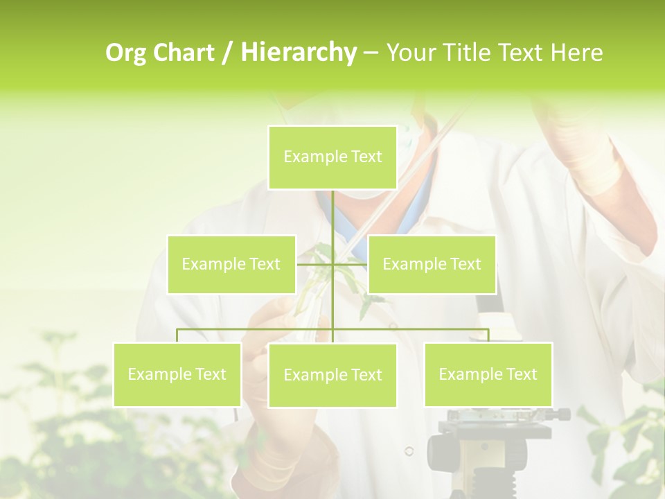 Food Scientific Exam PowerPoint Template