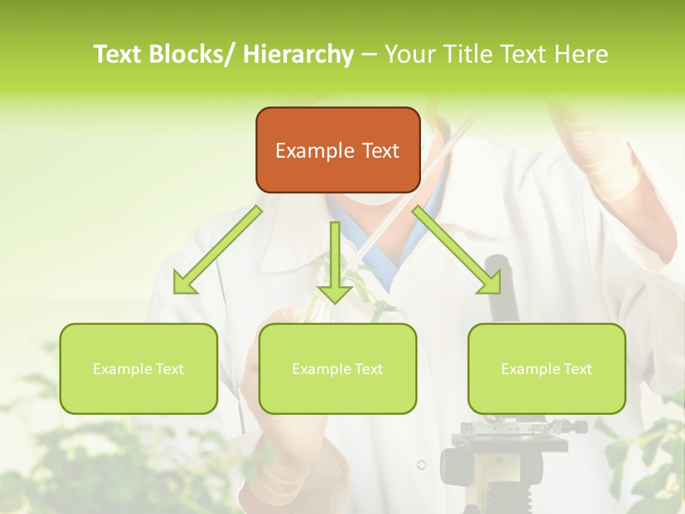 Food Scientific Exam PowerPoint Template