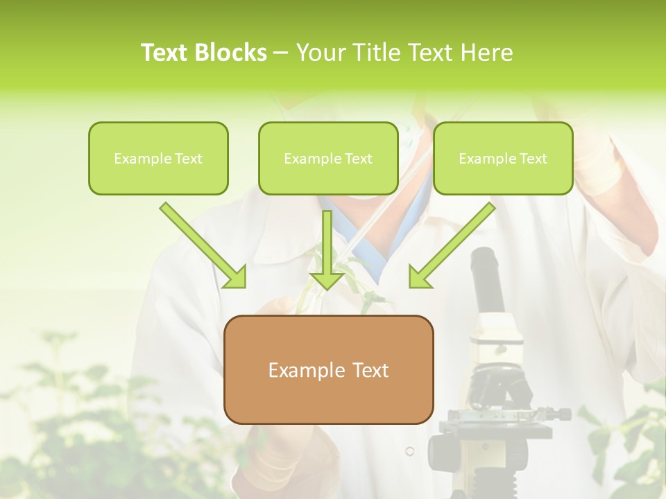 Food Scientific Exam PowerPoint Template