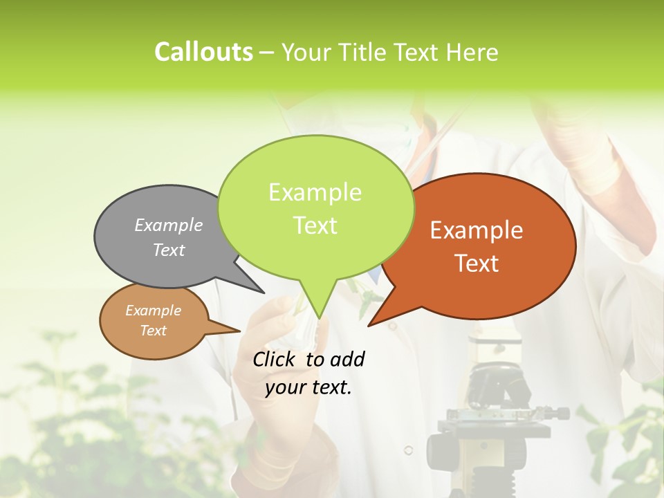 Food Scientific Exam PowerPoint Template