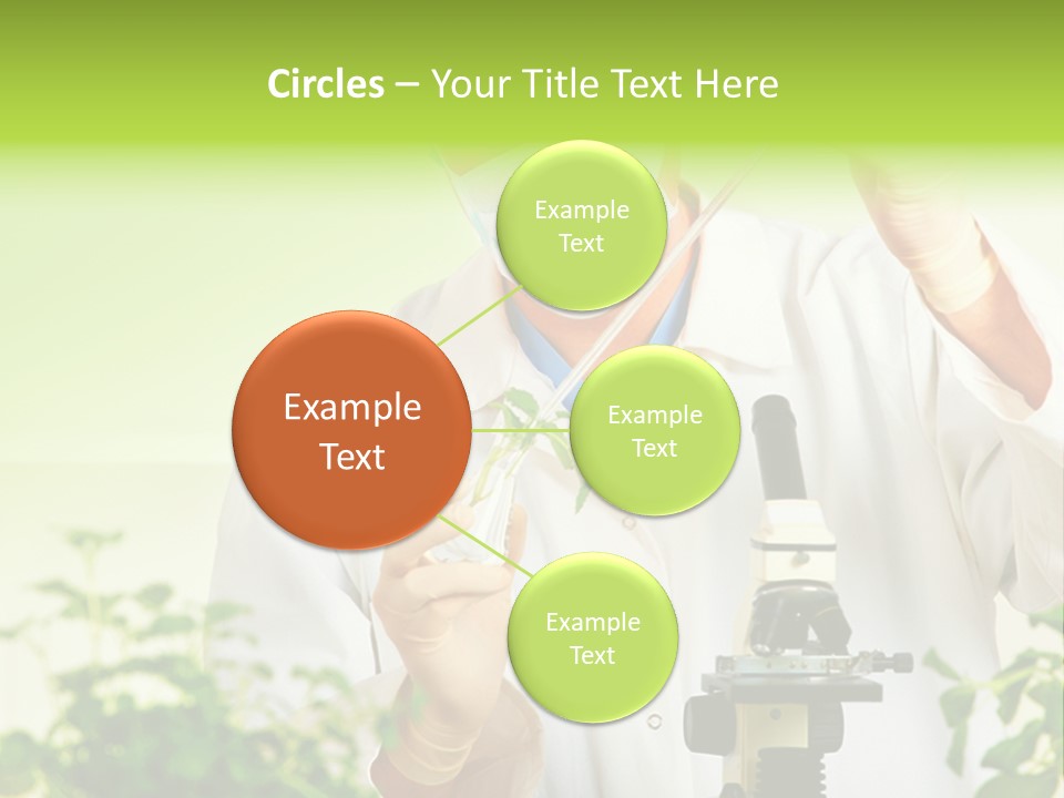 Food Scientific Exam PowerPoint Template