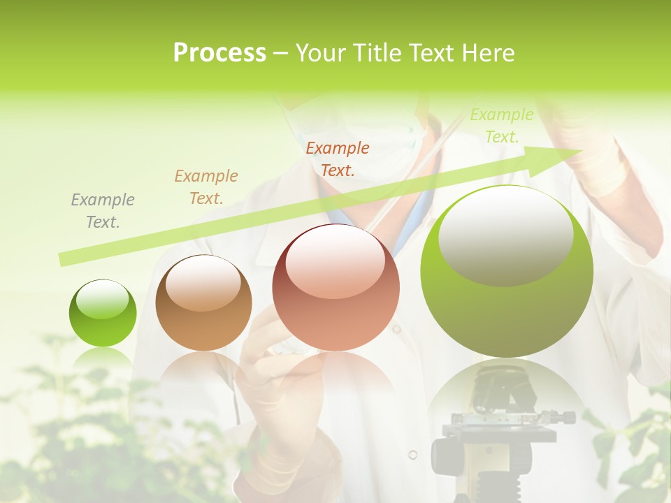 Food Scientific Exam PowerPoint Template