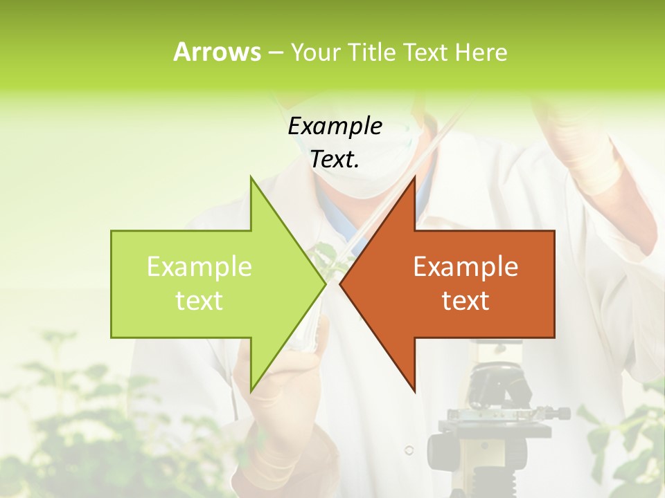 Food Scientific Exam PowerPoint Template