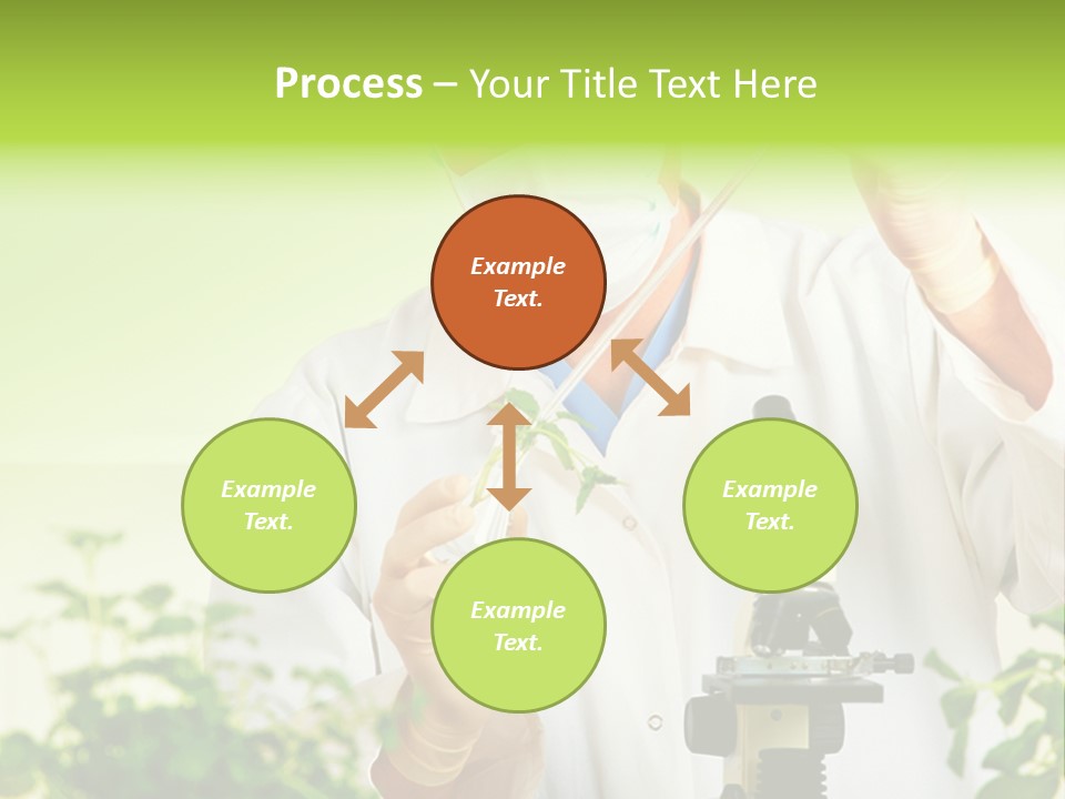 Food Scientific Exam PowerPoint Template