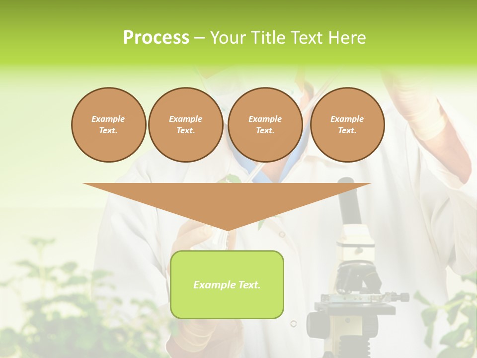 Food Scientific Exam PowerPoint Template