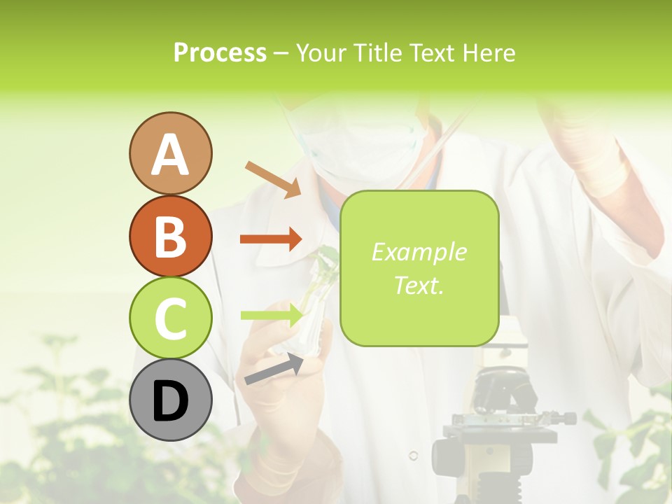 Food Scientific Exam PowerPoint Template