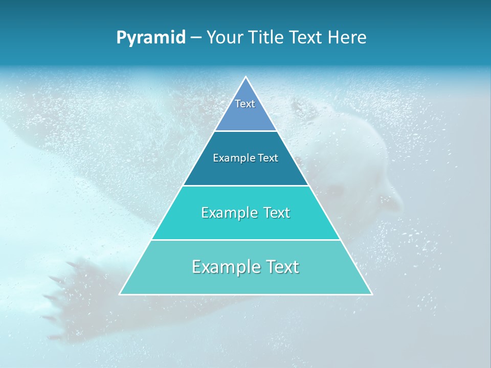 Global Ursus Wet PowerPoint Template