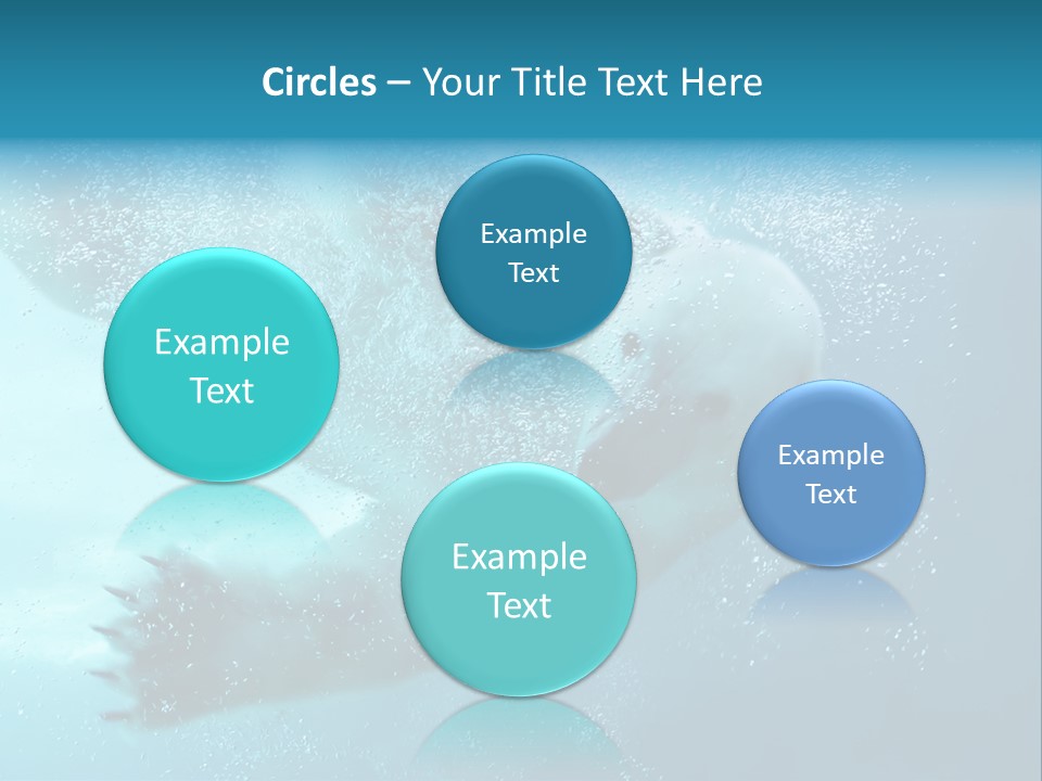 Global Ursus Wet PowerPoint Template