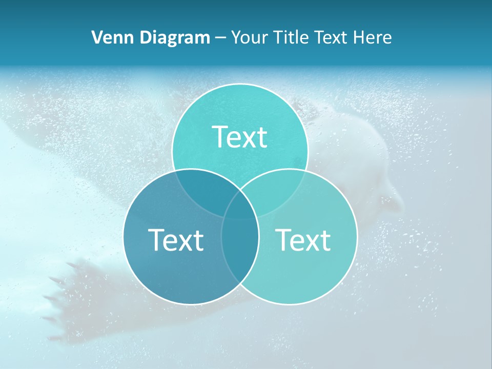 Global Ursus Wet PowerPoint Template