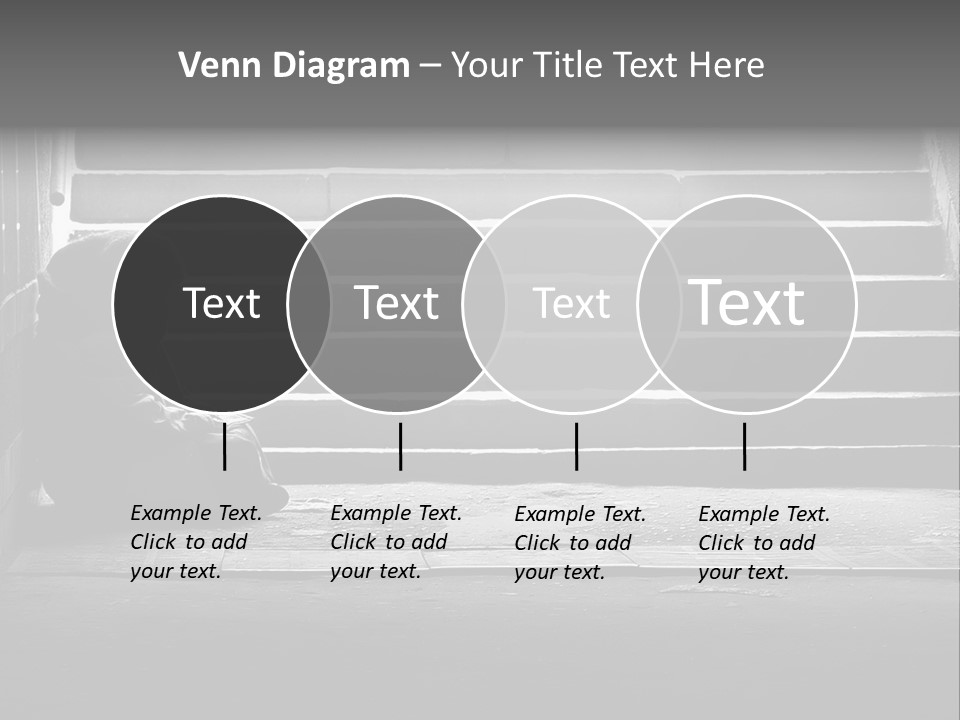 Literature Sit Monochrome PowerPoint Template
