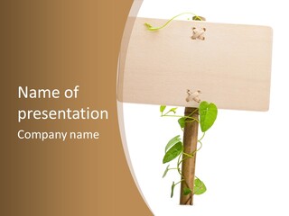 Fresh Business Bamboo PowerPoint Template