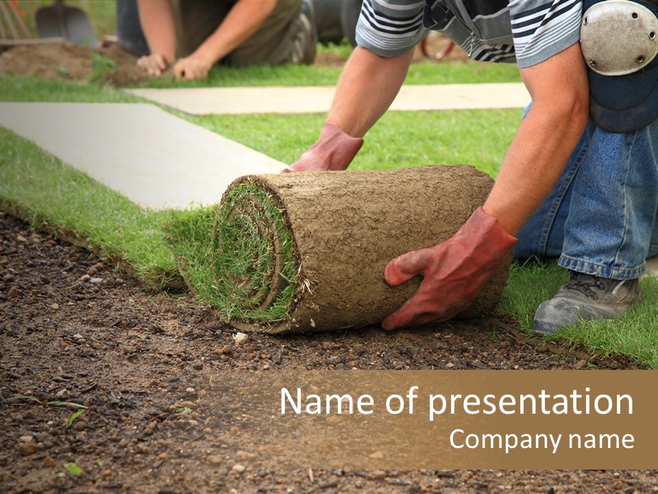 Gardening Detail Grass PowerPoint Template