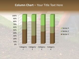 Gardening Detail Grass PowerPoint Template