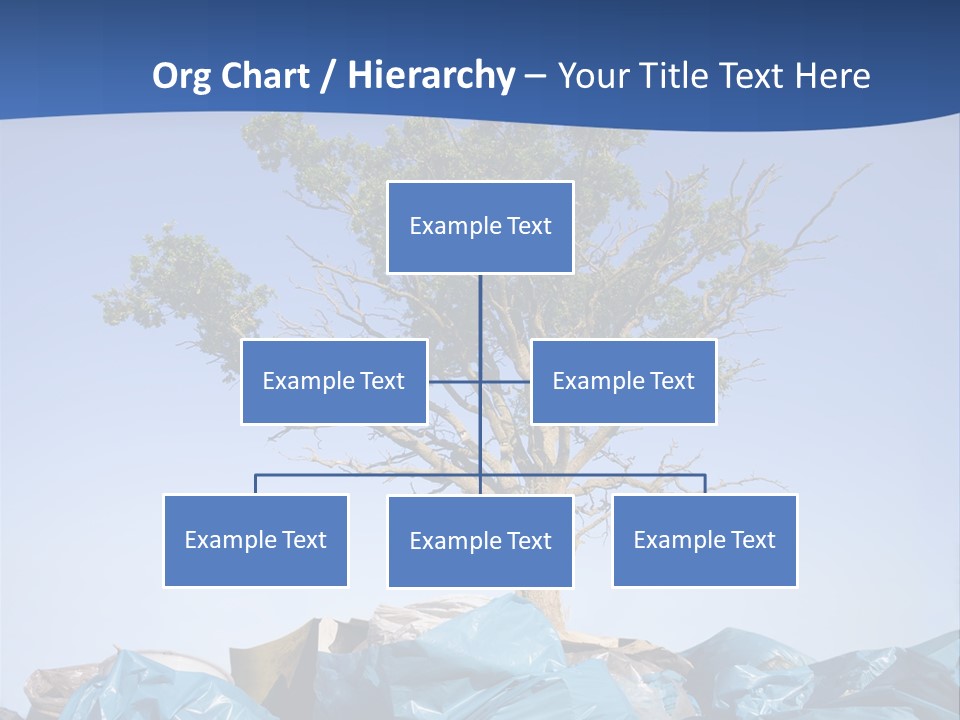 Flora Junk Concepts PowerPoint Template