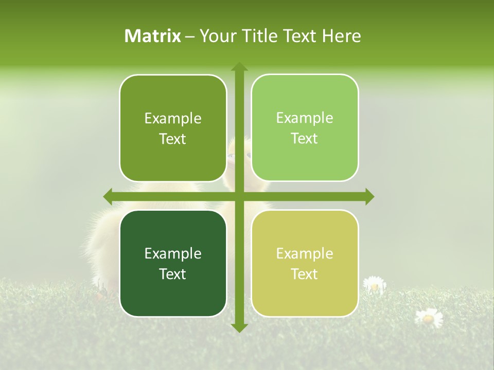 Looking Baby Fragile PowerPoint Template