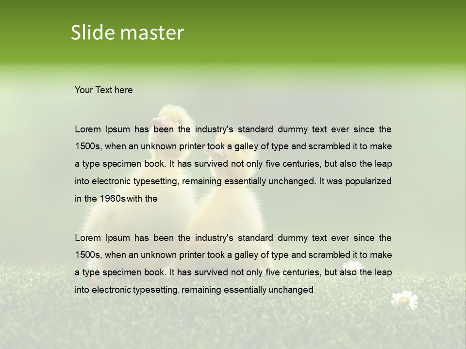 Looking Baby Fragile PowerPoint Template