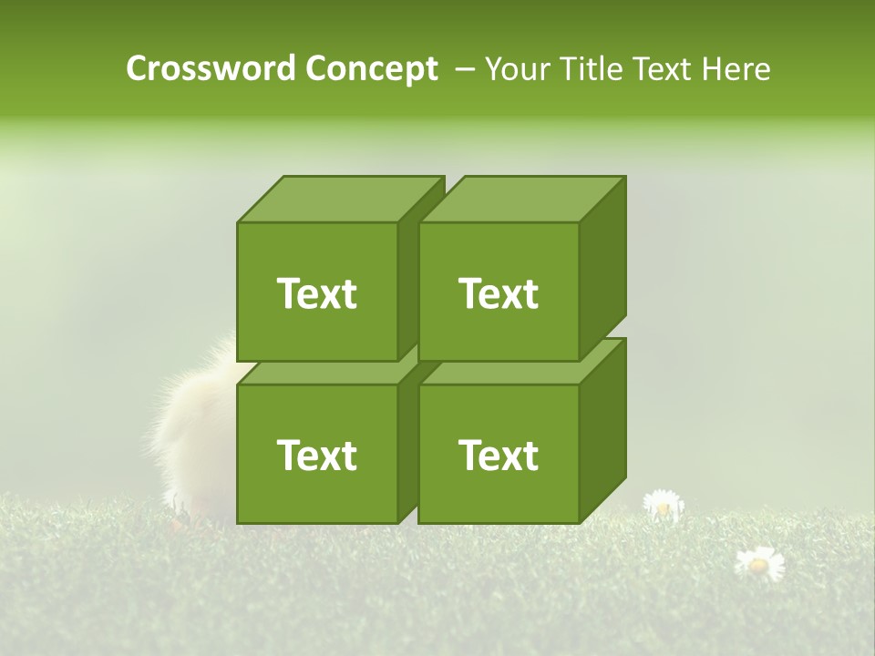 Looking Baby Fragile PowerPoint Template
