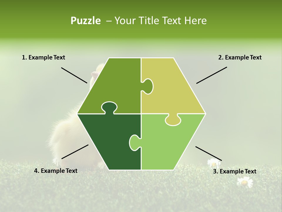 Looking Baby Fragile PowerPoint Template