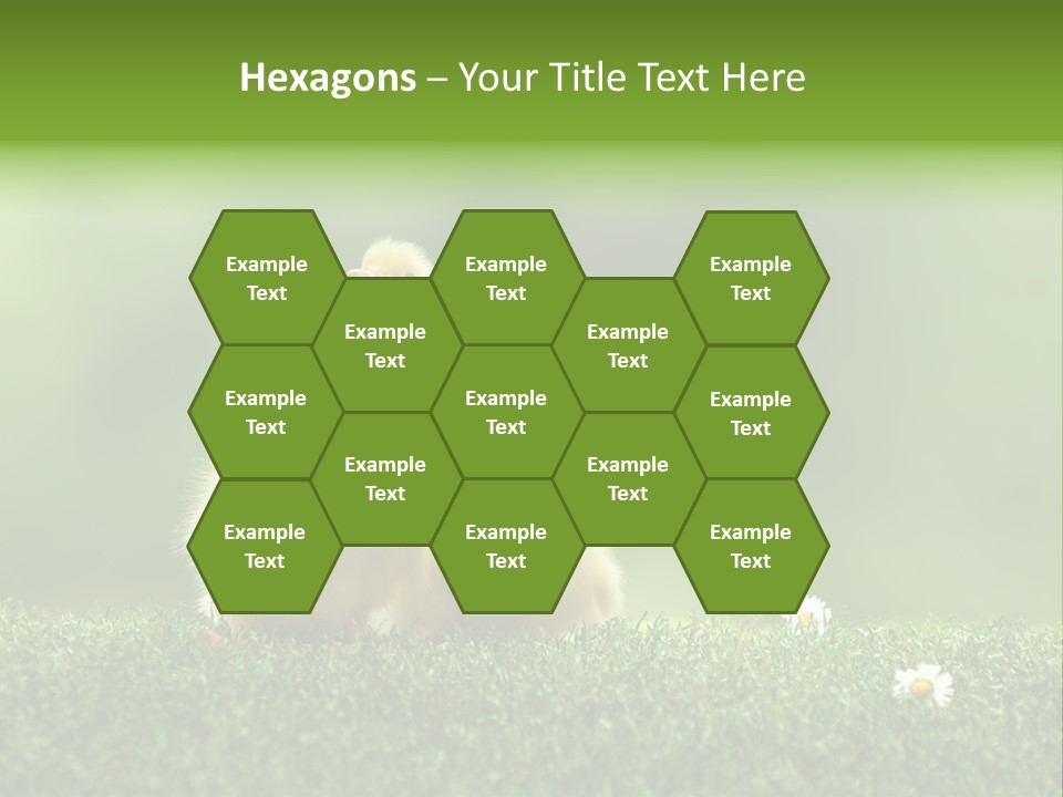 Looking Baby Fragile PowerPoint Template