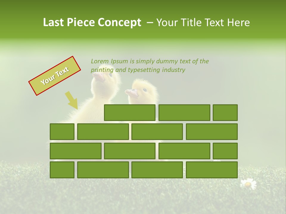 Looking Baby Fragile PowerPoint Template