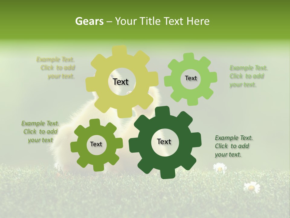 Looking Baby Fragile PowerPoint Template