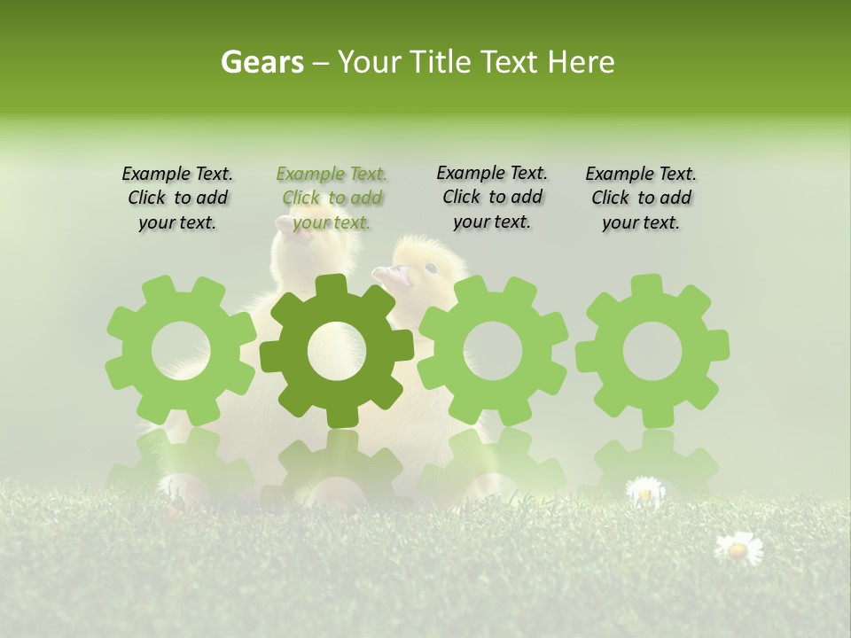 Looking Baby Fragile PowerPoint Template