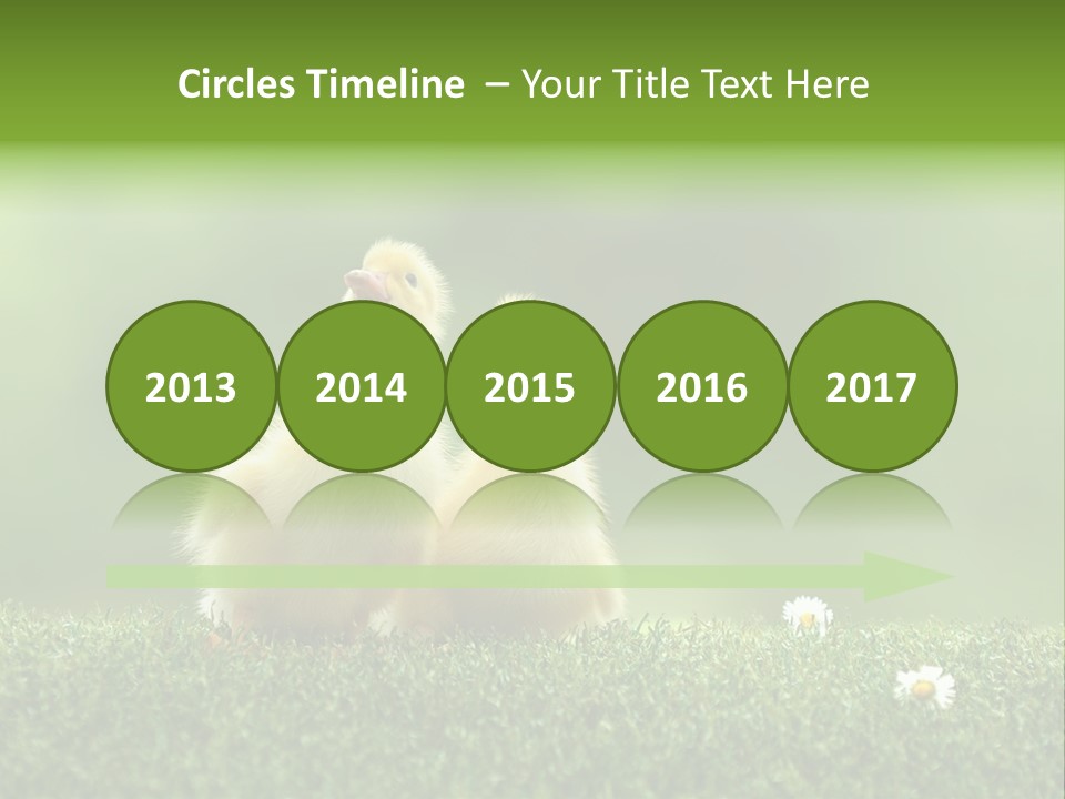 Looking Baby Fragile PowerPoint Template