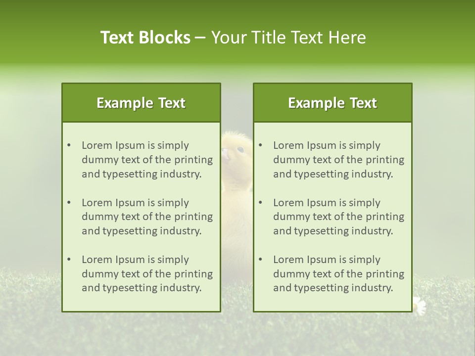 Looking Baby Fragile PowerPoint Template