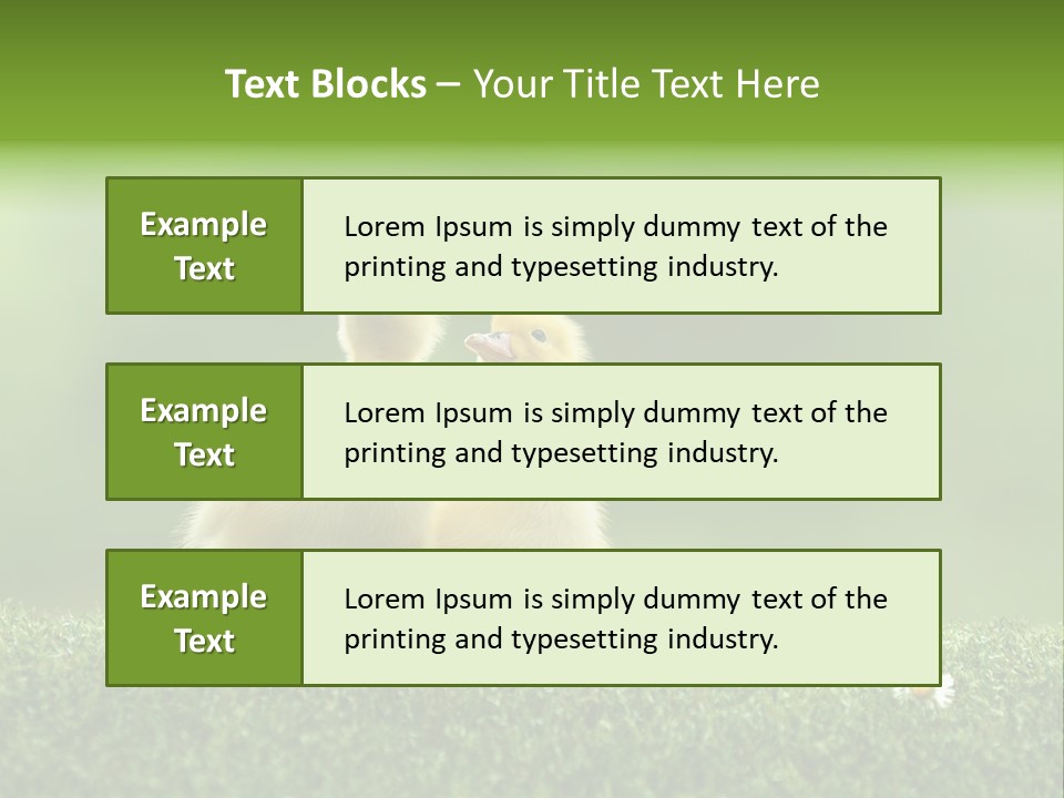 Looking Baby Fragile PowerPoint Template