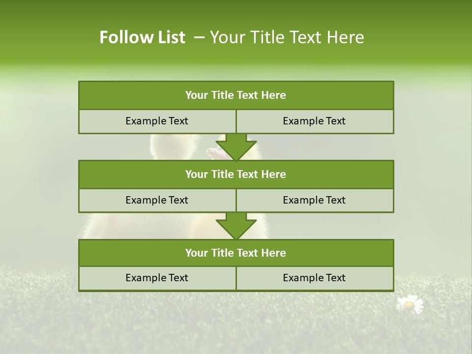 Looking Baby Fragile PowerPoint Template