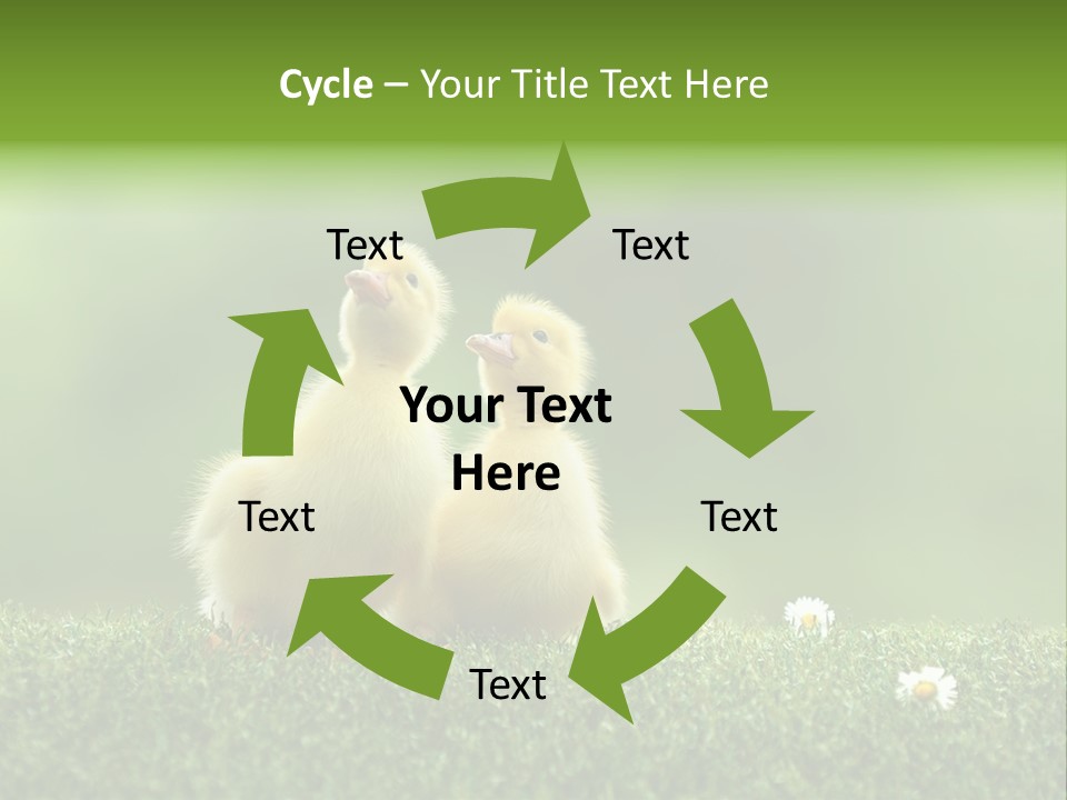 Looking Baby Fragile PowerPoint Template