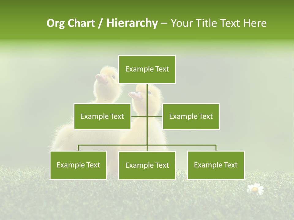 Looking Baby Fragile PowerPoint Template