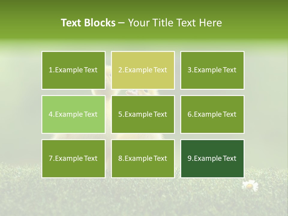 Looking Baby Fragile PowerPoint Template