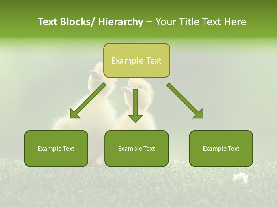 Looking Baby Fragile PowerPoint Template