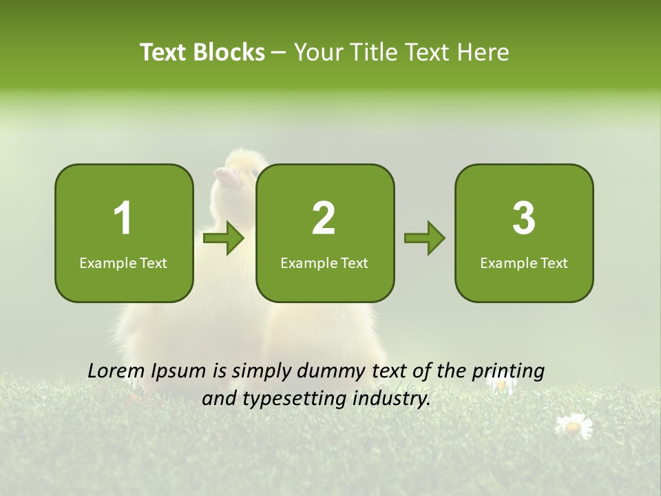 Looking Baby Fragile PowerPoint Template