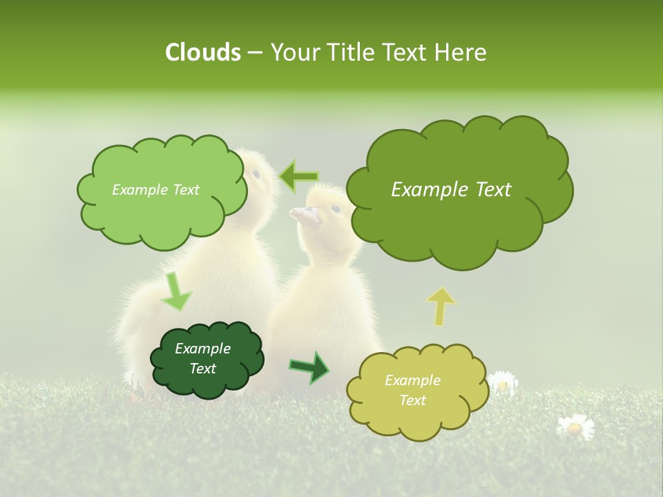 Looking Baby Fragile PowerPoint Template