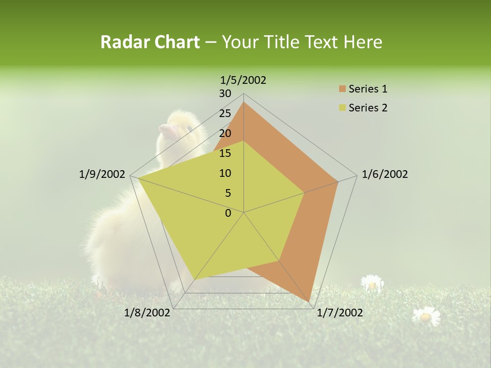 Looking Baby Fragile PowerPoint Template