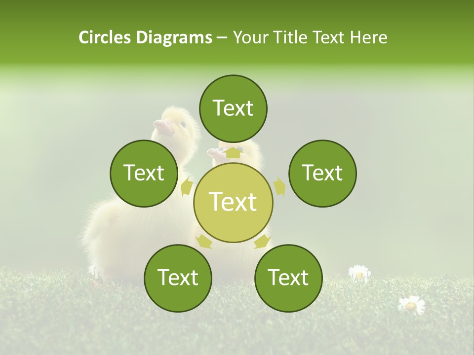 Looking Baby Fragile PowerPoint Template