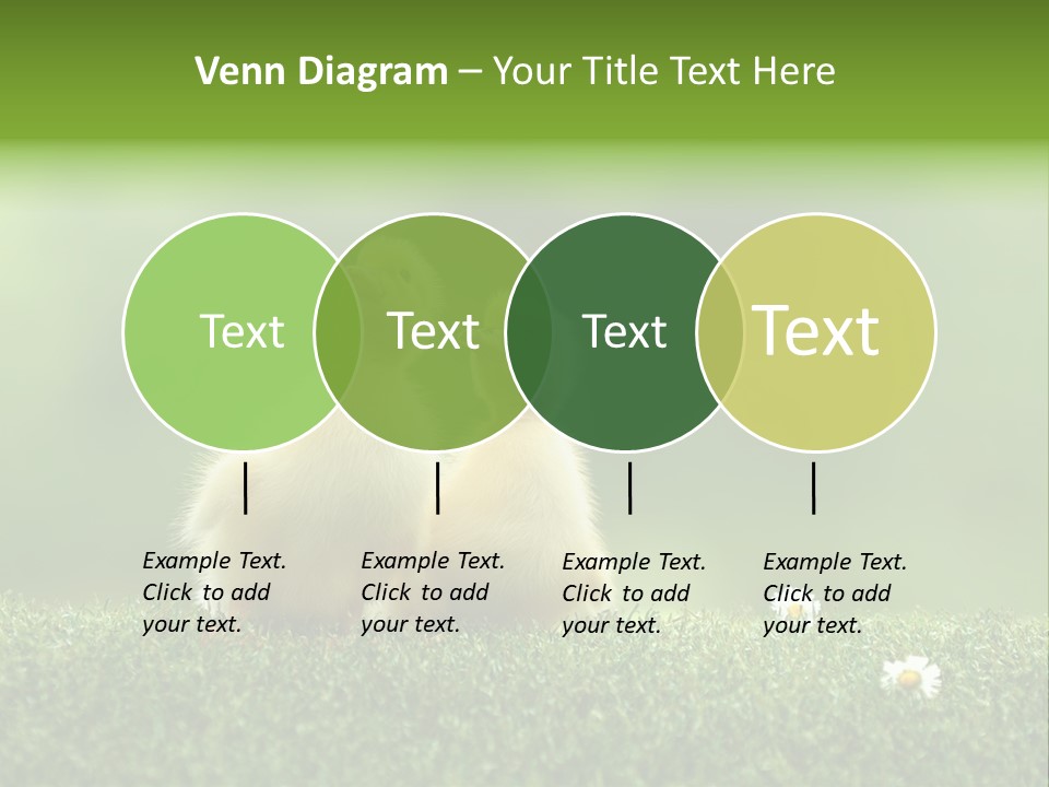 Looking Baby Fragile PowerPoint Template