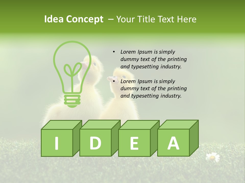 Looking Baby Fragile PowerPoint Template