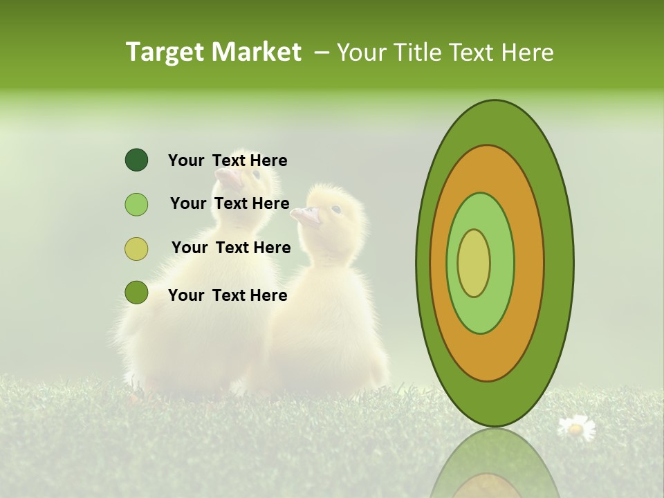 Looking Baby Fragile PowerPoint Template