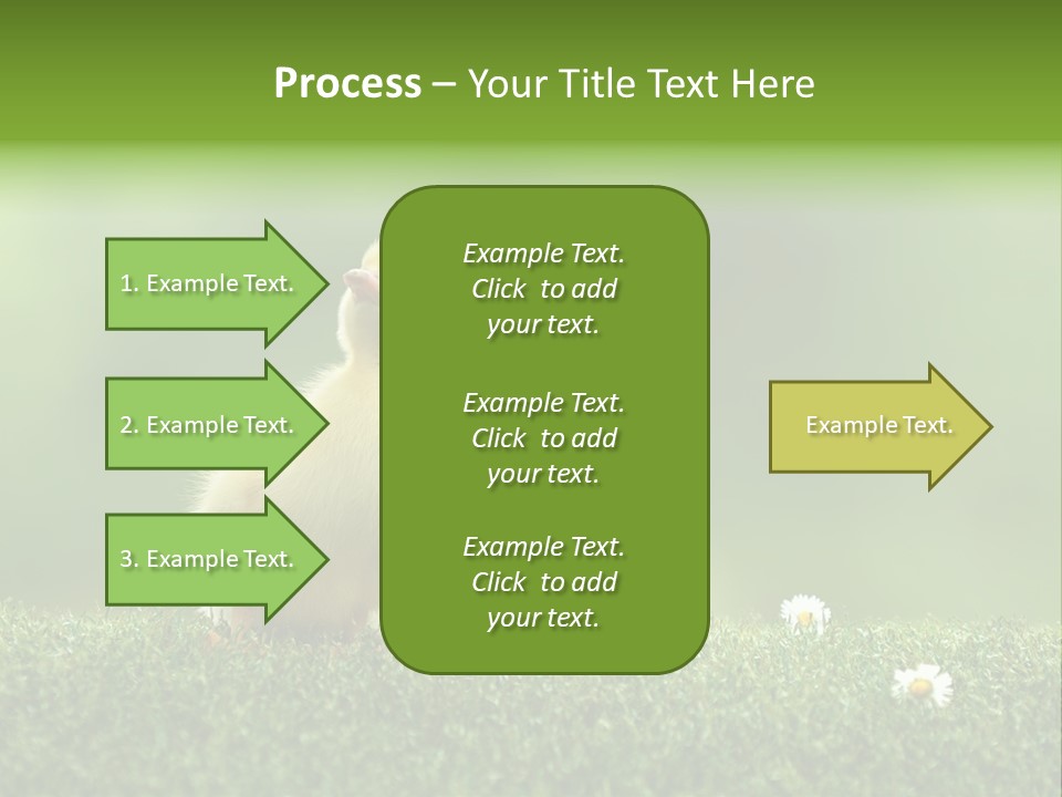 Looking Baby Fragile PowerPoint Template