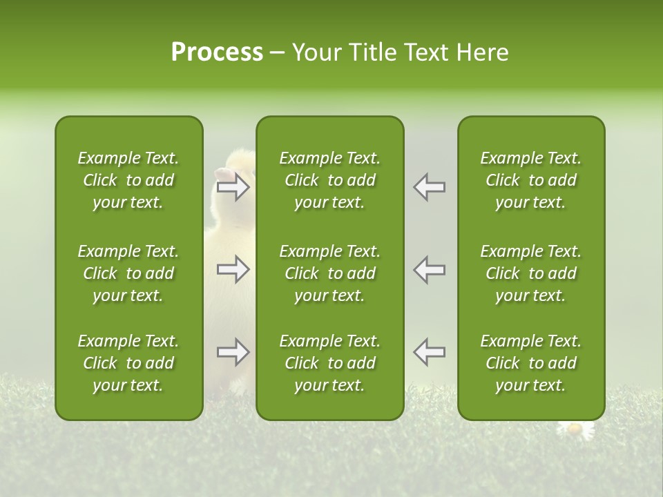 Looking Baby Fragile PowerPoint Template