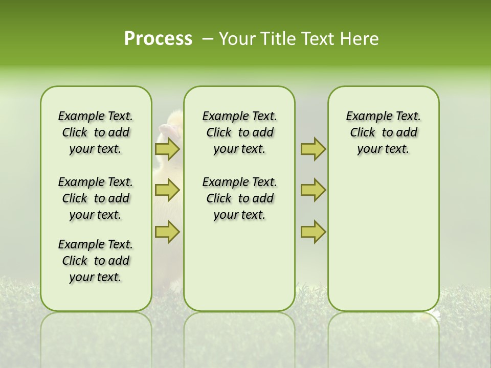 Looking Baby Fragile PowerPoint Template