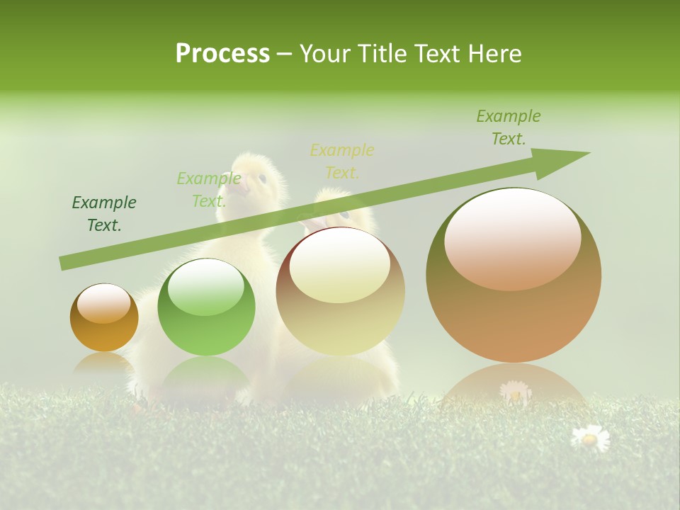 Looking Baby Fragile PowerPoint Template