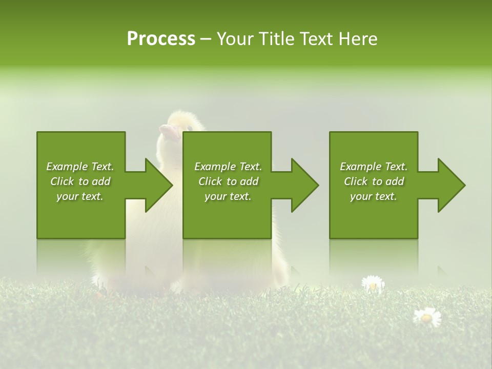Looking Baby Fragile PowerPoint Template