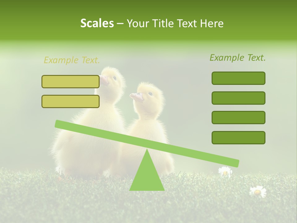 Looking Baby Fragile PowerPoint Template