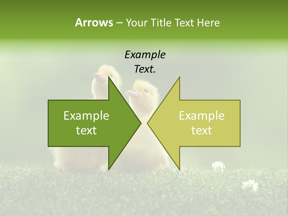 Looking Baby Fragile PowerPoint Template