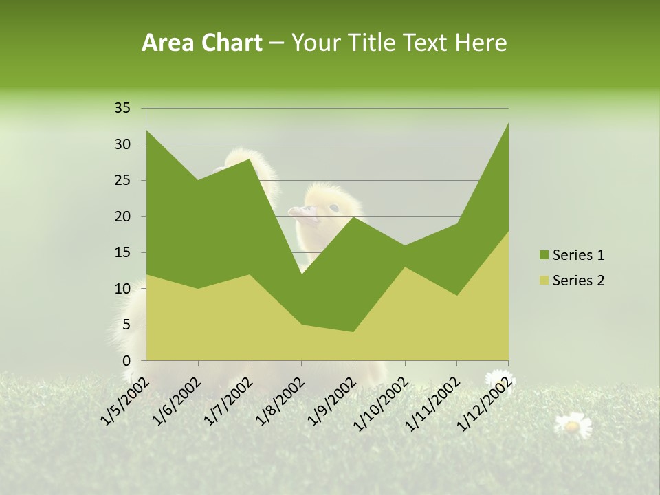 Looking Baby Fragile PowerPoint Template
