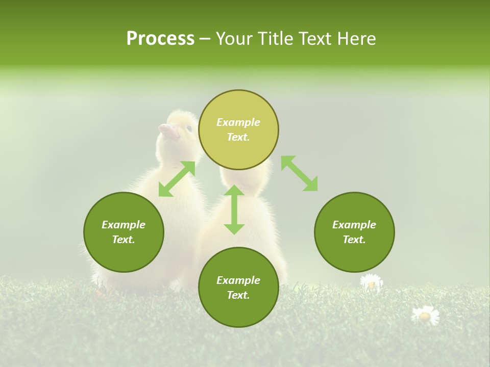 Looking Baby Fragile PowerPoint Template
